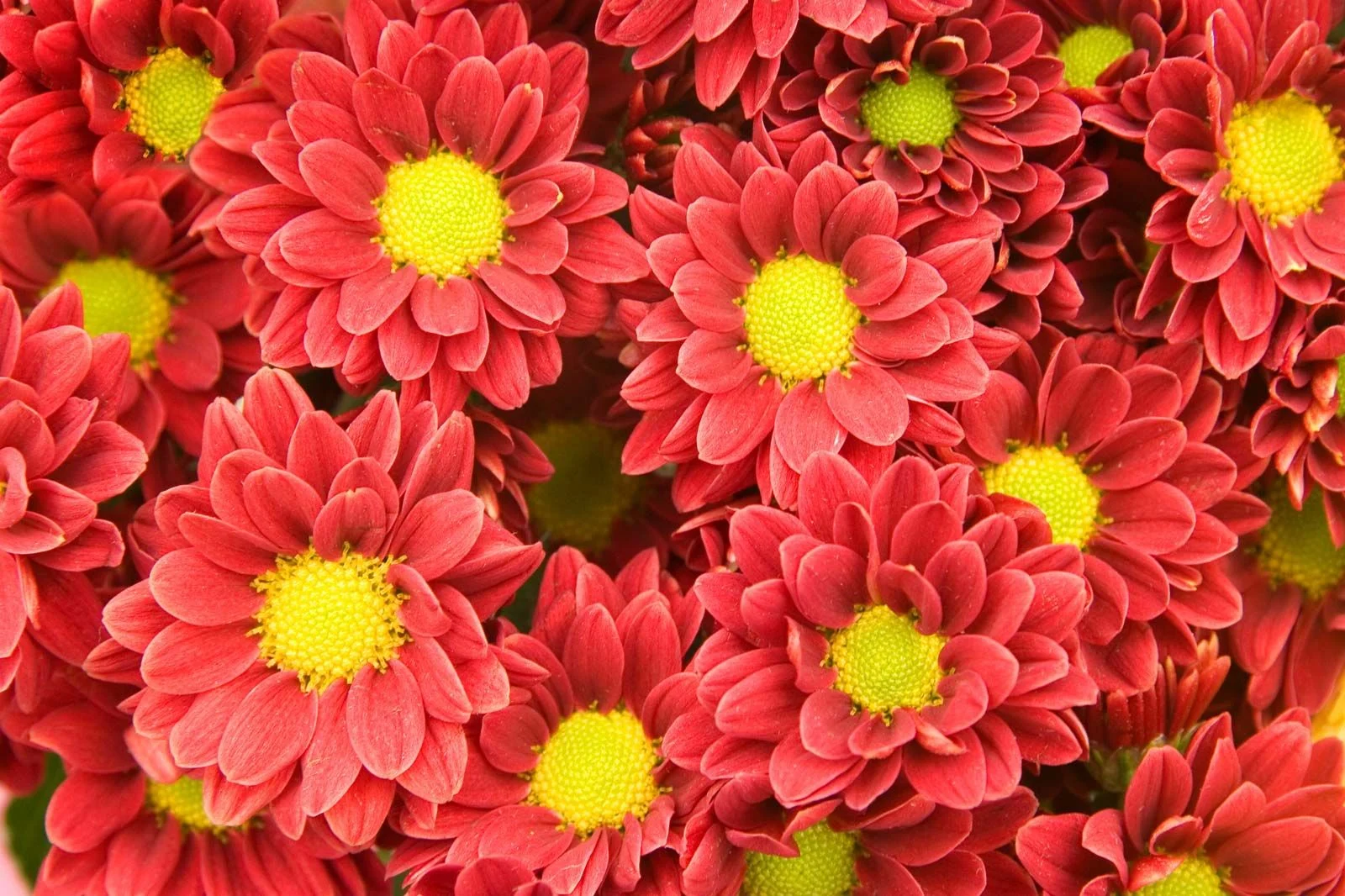 آپارتمان