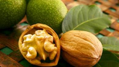 علمی و پزشکی