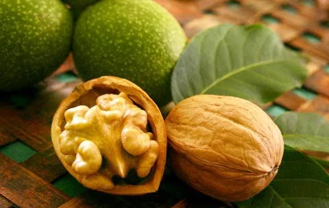 علمی و پزشکی