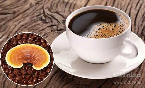 گانودرما