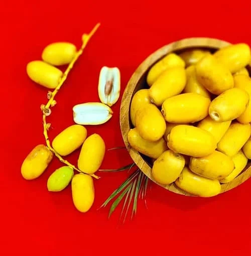 عمومی
