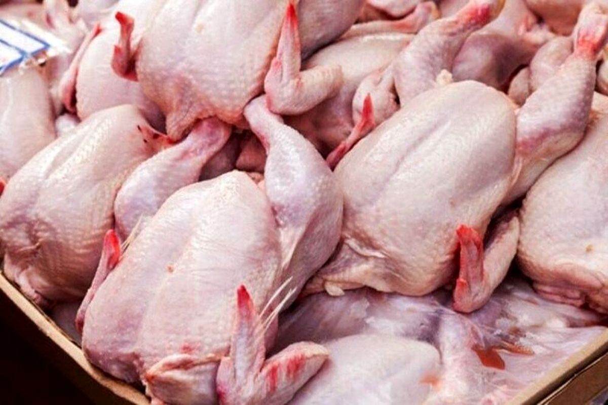 امراللهی: مردم گران فروشی و احتکار مرغ را گزارش دهند/ خریداران مرغ فاکتور از فروشنده بخواهند