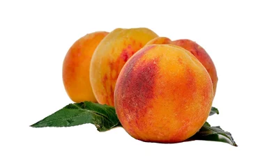 بیماری