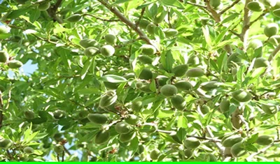 علمی و پزشکی