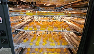 علمی و پزشکی
