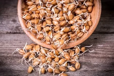 دیابت