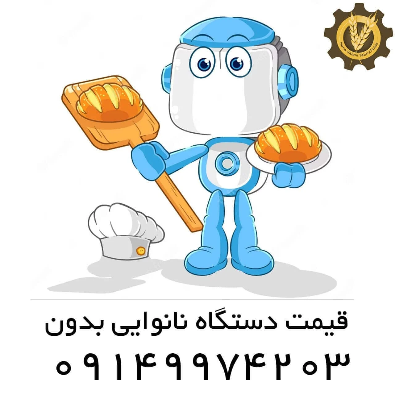 عمومی