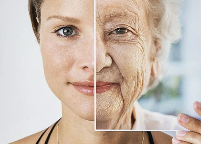 The best anti-wrinkle cream