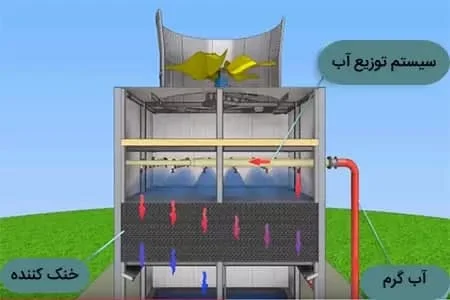 عمومی