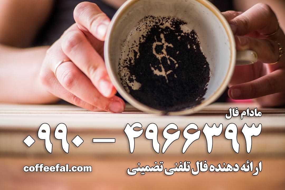 عمومی