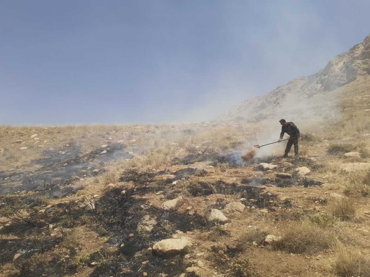 عمومی