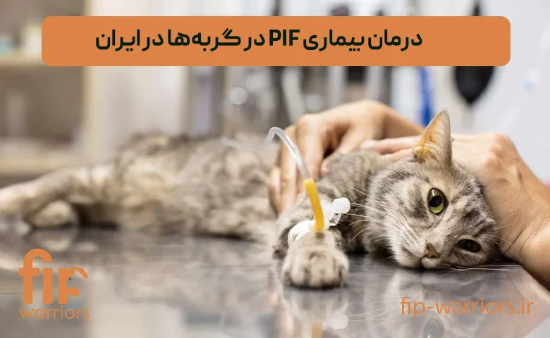 بیماری بیماری