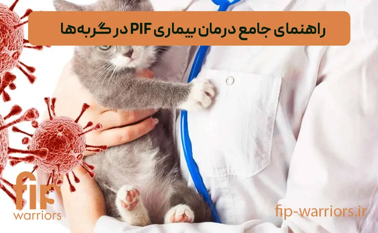 بیماری بیماری