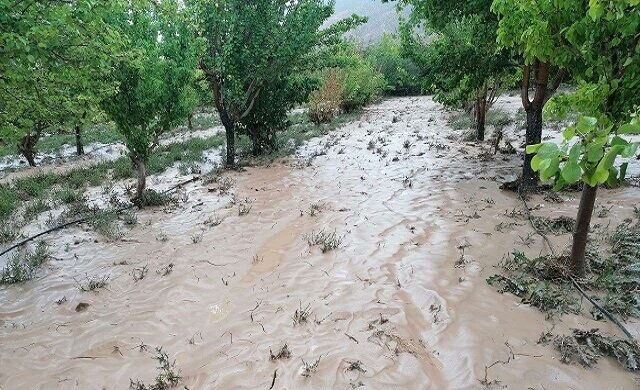 آبگرفتگی | آبگرفتگی معابر | سنگ