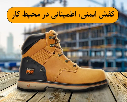 ایمنی