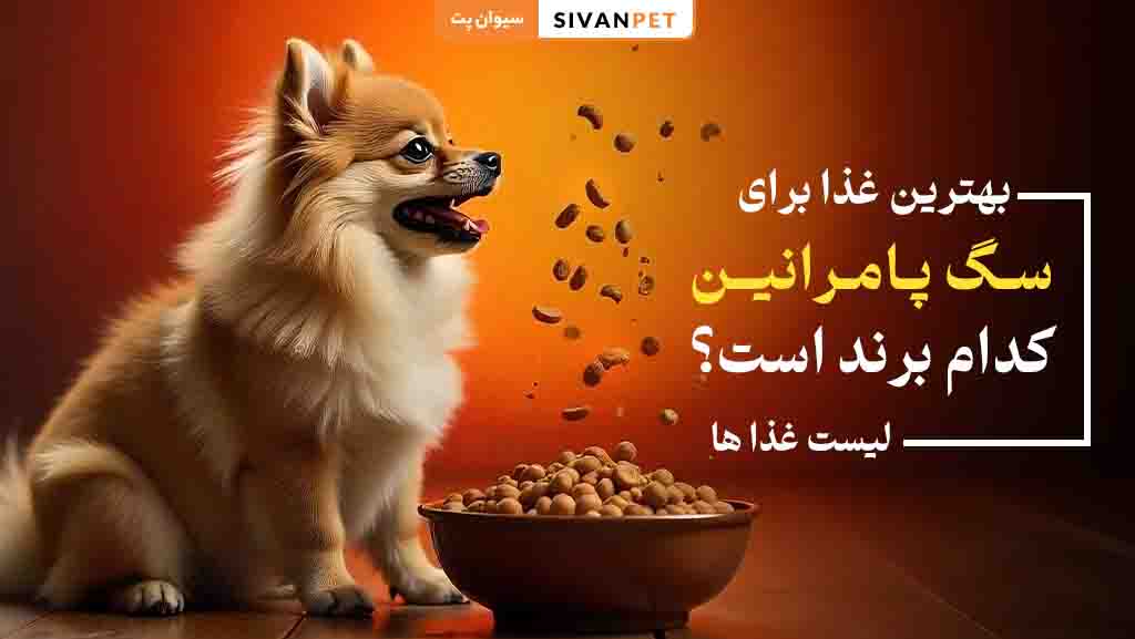 تغذیه | سگ