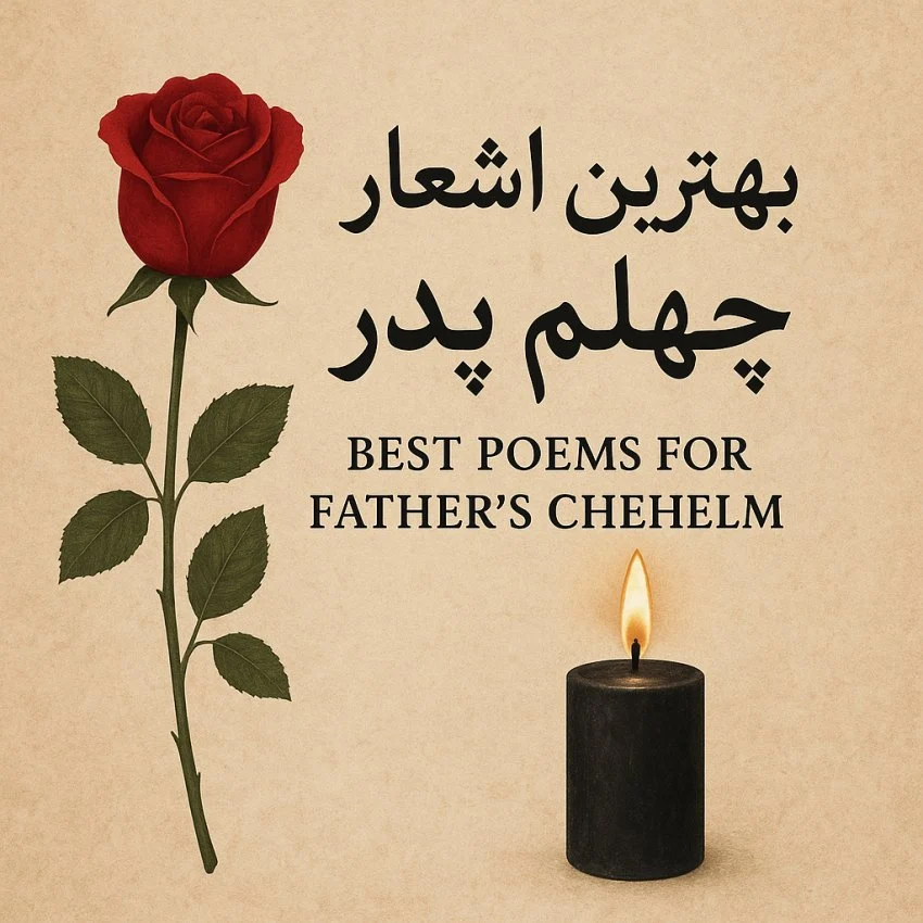 عمومی