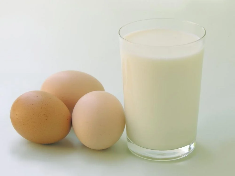 تغذیه