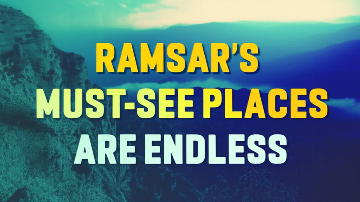 گردشگری و اقامتی